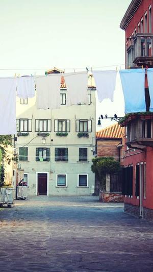 黑帽seo优化截图2