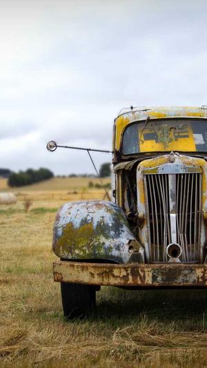 2020泛目录截图4