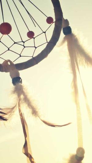 seo搜索排名优化截图4