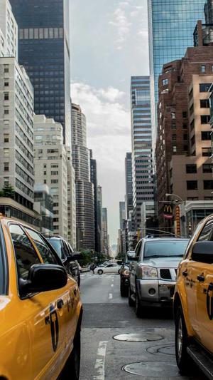 零距离泛目录下载截图3