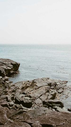 seo网络优化是什么截图2