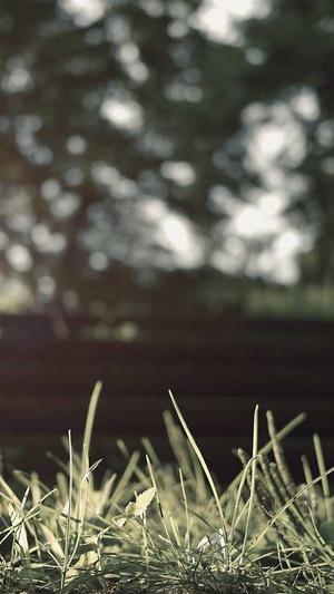 小霸王蜘蛛池v6.3截图2