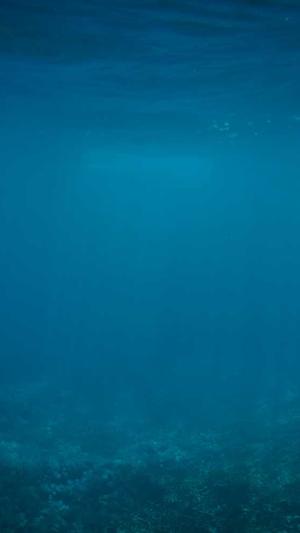 泛目录能维持多久截图3