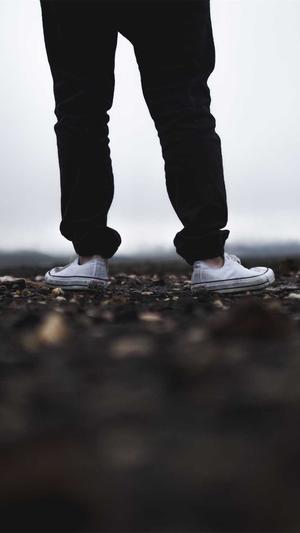 蜘蛛池搭建优化方案截图3