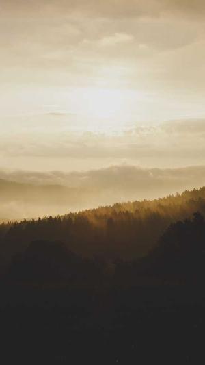 seo快速排名软件截图2