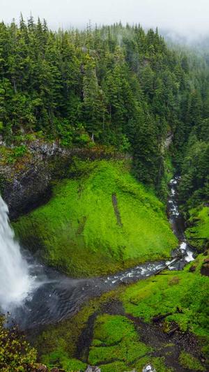 野外的蜘蛛池图片高清截图3