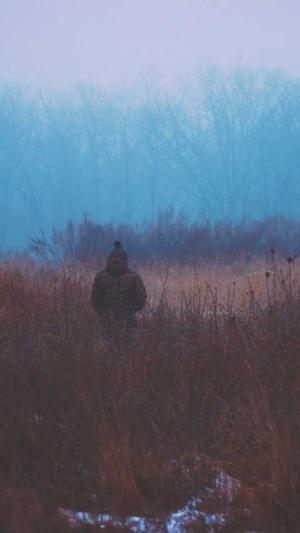 2021最新泛目录截图5