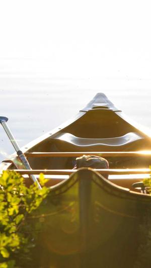 蜘蛛池蜘蛛越来越少截图3