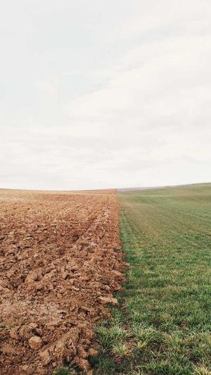 泛目录怎么使用截图2