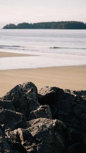 烟台seo优化截图2