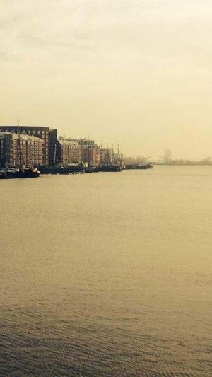 小霸王蜘蛛池截图5