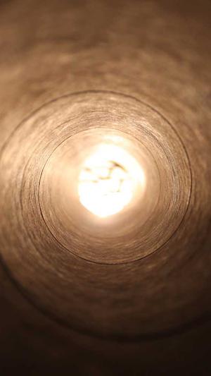 蜘蛛池最新程序截图2