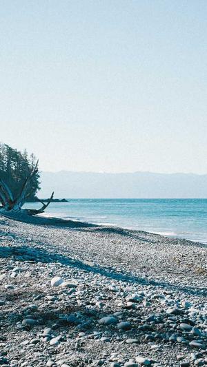 泛目录的排名截图2