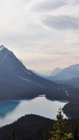 千站云蜘蛛池搭建教程截图4