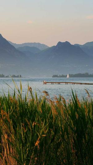 梦幻西游手游私服版截图3