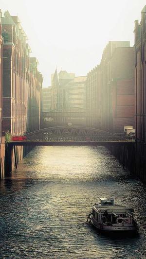 现在的蜘蛛池有用吗截图3