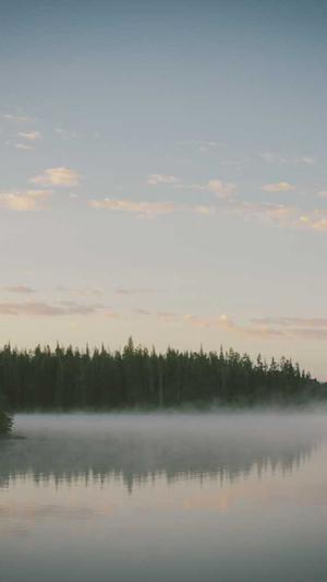 郑州seo推广截图3