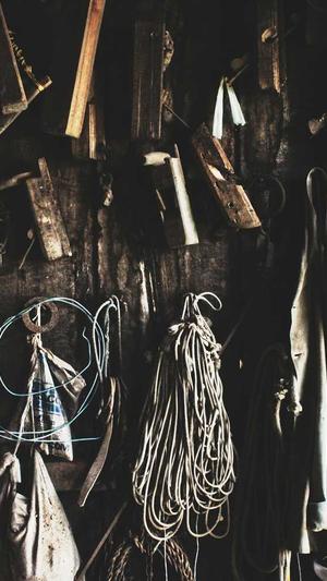 蜘蛛池tdk缓存几小时截图4