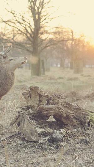 泛目录程序官网截图4