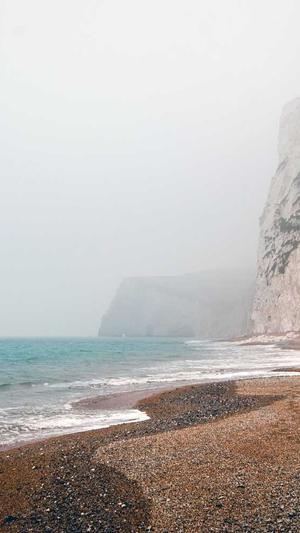 seo优化服务公司截图1