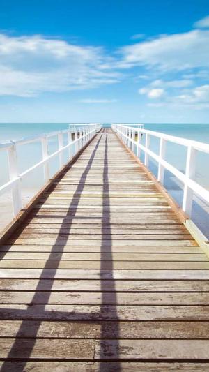 seo泛目录操作方法截图5