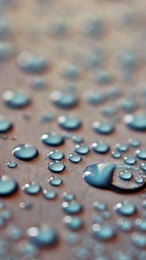 seo黑帽教程泛目录截图1