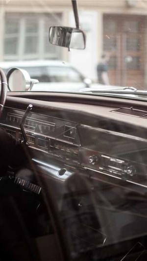 蜘蛛池的危害截图3