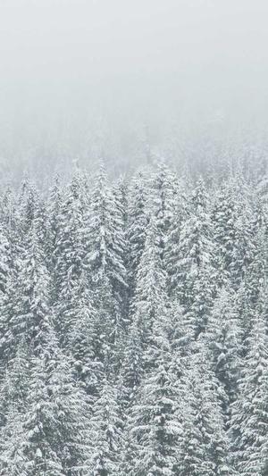 泛函分析目录截图5