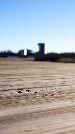 泛目录轮链程序截图2