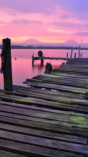 seo关键词优化截图1