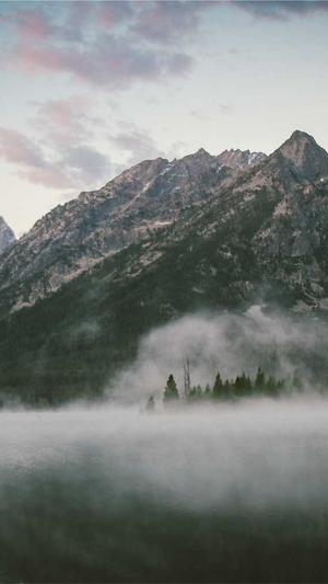 seo李守洪排名大师截图2