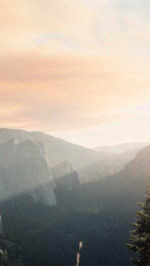 泛目录站群和蜘蛛池区别截图3