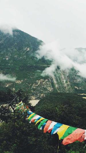 泛目录怎么做seo平台截图3