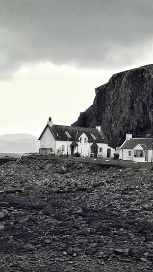 风度seo泛目录站群截图3