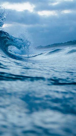 网络优化seo截图5