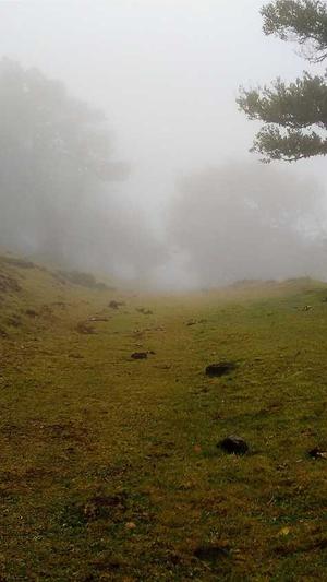 中山seo优化截图4